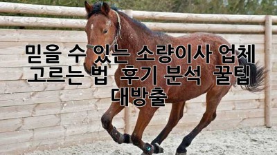 믿을 수 있는 소량이사 업체 고르는 법 🧐 후기 분석 & 꿀팁 대방출!