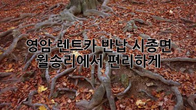 영암 렌트카 반납: 시종면 월송리에서 편리하게!