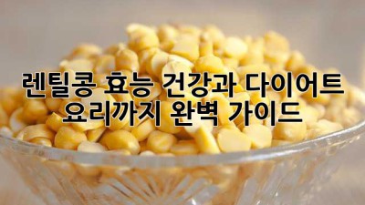 렌틸콩 효능: 건강과 다이어트, 요리까지 완벽 가이드